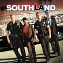 Southland on Random Best Serial Cop Dramas