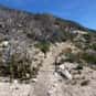 Mount Lowe is listed (or ranked) 4 on the list The Best Hiking in Los Angeles