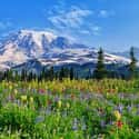 Mount Rainier National Park on Random Best Picture Of Each US National Park