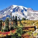 Mount Rainier National Park on Random Best National Parks in the USA