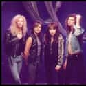 Glam metal, Rock music, Heavy metal   Mr. Big is an American hard rock band, formed in Los Angeles, California in 1988.