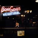 Mr. Natural on Random Best Bee Gees Albums