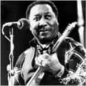 Muddy Waters on Random Historical Figures Who Lived A Lot Longer Than You Thought