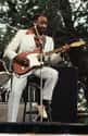 Muddy Waters on Random Best Country Blues Bands/Artists