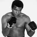 Heavyweight   Muhammad Ali (January 17, 1942 - June 3, 2016) was an American professional boxer, activist, and philanthropist.