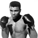 Muhammad Ali on Random Best Boxers of th Century
