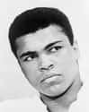 Muhammad Ali on Random Most Famous Celebrity From Your State