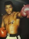 Muhammad Ali on Random Best Athletes