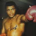 Muhammad Ali on Random Funniest Professional Athletes