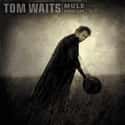 Mule Variations on Random Best Tom Waits Albums