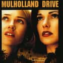 Mulholland Drive on Random Best Memory Loss Movies