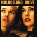 2001   Mulholland Drive is a 2001 American neo-noir mystery film written and directed by David Lynch and starring Naomi Watts, Laura Harring, and Justin Theroux.