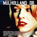 Mulholland Drive on Random Very Best New Noir Movies