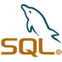 MySQL on Random Best Programming Language to Learn