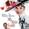 My Fair Lady on Random Very Best Oscar-Winning Movies For Best Pictu