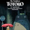 My Neighbor Totoro on Random Best Anime Movies