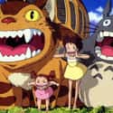 My Neighbor Totoro on Random Anime Movies That Deserve Their Own TV Series