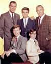 My Three Sons on Random Very Best Shows That Aired in the 1960s