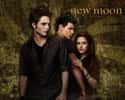 The Twilight Saga: New Moon on Random TV Programs And Movies For 'Teen Wolf' Fans