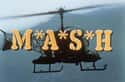 M*A*S*H on Random Best Shows of the 1980s