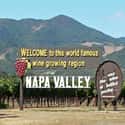 Napa Valley AVA on Random Best Honeymoon Destinations in the US