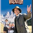 1985   European Vacation is a 1985 comedy film. The second film in National Lampoon's Vacation film series, it was directed by Amy Heckerling and stars Chevy Chase and Beverly D'Angelo.