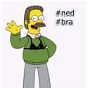 Ned Flanders on Random Greatest TV Neighbors