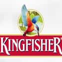 Kingfisher on Random Best Alcohol Brands
