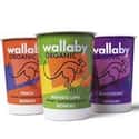 Wallaby on Random Best Greek Yogurt Brands