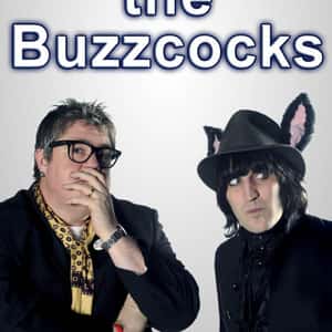 Nevermind the Buzzcocks