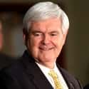 Newt Gingrich on Random Most Successful Obese Americans