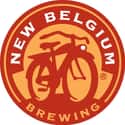 New Belgium Brewing Company on Random Top Beer Companies