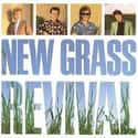 New Grass Revival on Random Best Progressive Bluegrass Bands/Artists