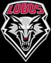 New Mexico Lobos Basketball on Random Best Mountain West Basketball Teams