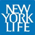 New York Life Insurance Company on Random Best Life Insurance Companies