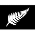 New Zealand on Random Prettiest Flags in the World