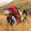 New Zealand on Random Best Countries to Backpack