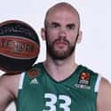 Nick Calathes on Random Best NBA Players from Florida