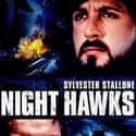 Sylvester Stallone, Billy Dee Williams, Rutger Hauer   Nighthawks is a 1981 American thriller film directed by Bruce Malmuth and starring Sylvester Stallone, Rutger Hauer, Billy Dee Williams, Lindsay Wagner, Persis Khambatta and Nigel Davenport.