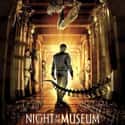 Night at the Museum on Random Best Family Movies Rated PG