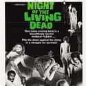 Night of the Living Dead on Random Best Horror Movies
