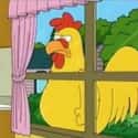 Ernie The Giant Chicken on Random Best Family Guy Characters