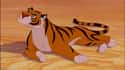 Rajah on Random Greatest Tiger Characters