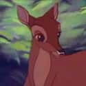 Bambi's Mother on Random Saddest Deaths in Kids Movies