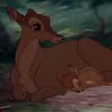 Bambi's Mother on Random Most Inspirational Movie Mothers