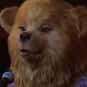 Trixie St. Claire is listed (or ranked) 25 on the list The Greatest Bear Characters of All Time