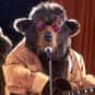 Ted Bedderhead is listed (or ranked) 28 on the list The Greatest Bear Characters of All Time