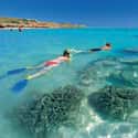 Ningaloo Reef on Random Best Scuba Destinations In World