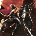 Ninja Gaiden Sigma on Random Hardest Video Games To Complete