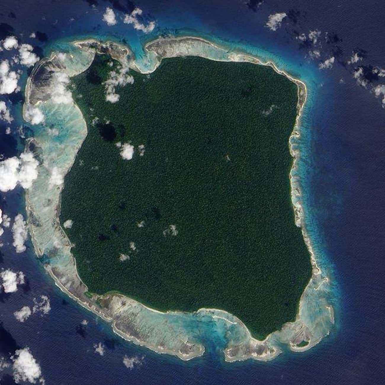 Indigenous Groups On India's North Sentinel Island Fight To Keep People Out 